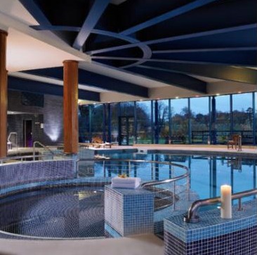 Castleknock Hotel - Pool & spa
